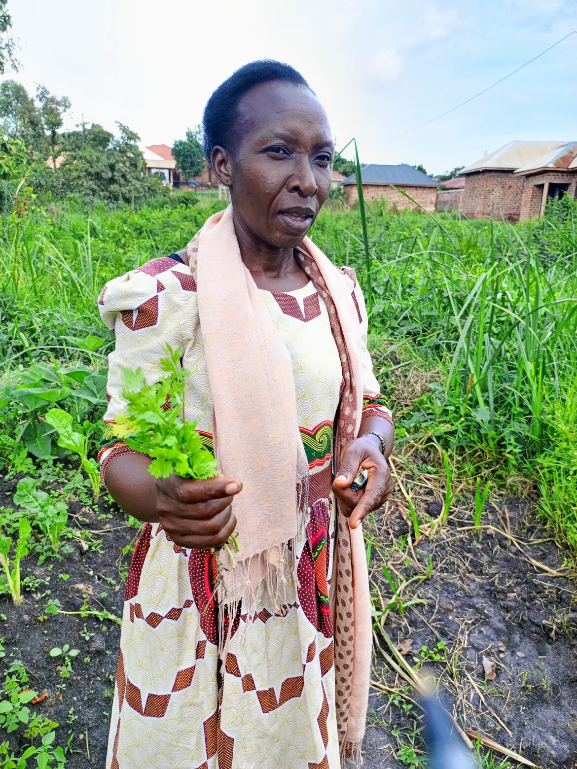 No Farm Is Too Small To Give Nuwagaba A Living – Harvest Money